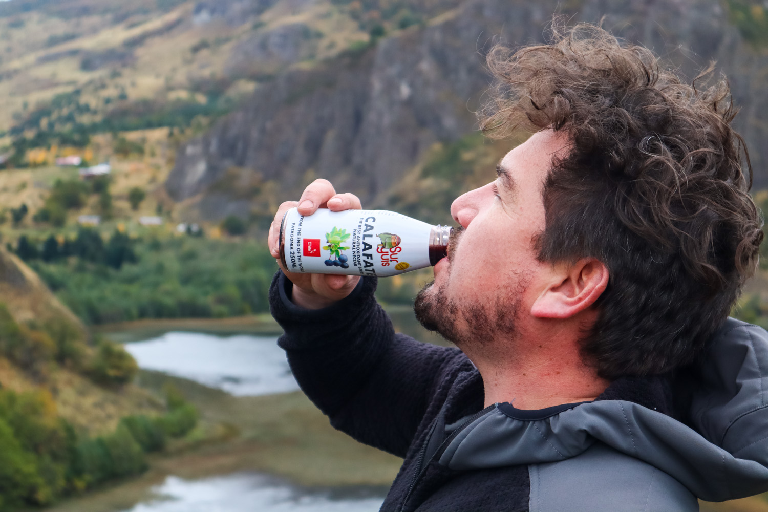 pesona tomando nectar de calafate